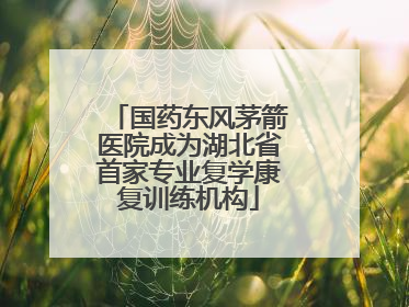 国药东风茅箭医院成为湖北省首家专业复学康复训练机构