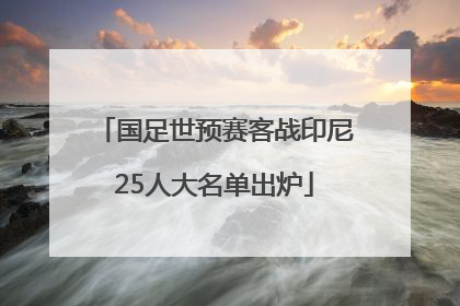 国足世预赛客战印尼25人大名单出炉
