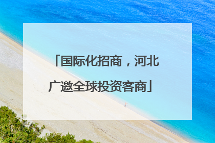 国际化招商，河北广邀全球投资客商