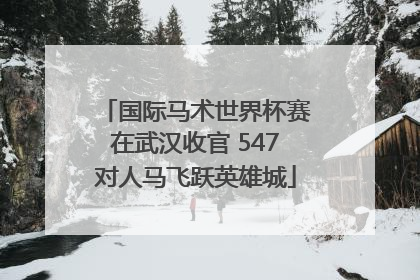 国际马术世界杯赛在武汉收官 547对人马飞跃英雄城