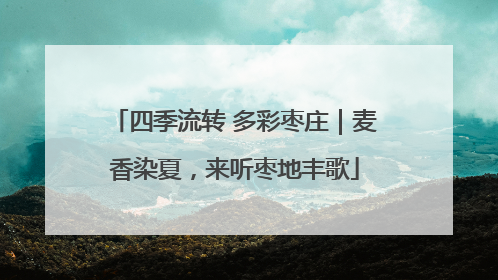 四季流转 多彩枣庄｜麦香染夏，来听枣地丰歌