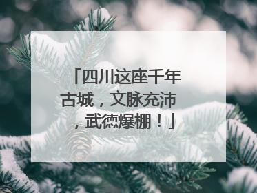 四川这座千年古城，文脉充沛，武德爆棚！