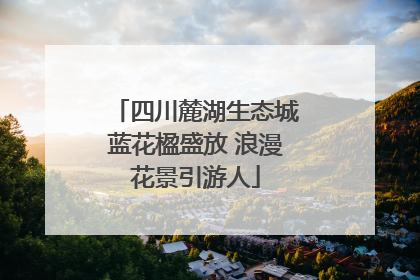 四川麓湖生态城蓝花楹盛放 浪漫花景引游人