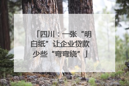 四川：一张“明白纸”让企业贷款少些“弯弯绕”