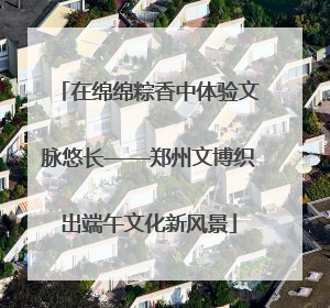在绵绵粽香中体验文脉悠长——郑州文博织出端午文化新风景