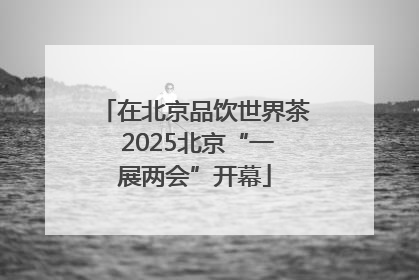 在北京品饮世界茶 2025北京“一展两会”开幕