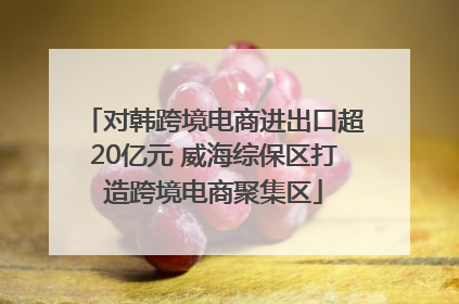 对韩跨境电商进出口超20亿元 威海综保区打造跨境电商聚集区