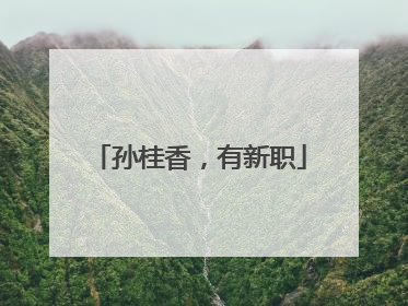 孙桂香，有新职