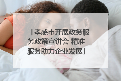 孝感市开展政务服务政策宣讲会 精准服务助力企业发展