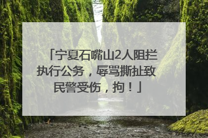 宁夏石嘴山2人阻拦执行公务，辱骂撕扯致民警受伤，拘！