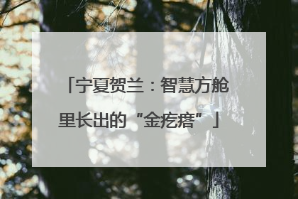 宁夏贺兰：智慧方舱里长出的“金疙瘩”