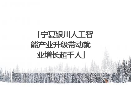 宁夏银川人工智能产业升级带动就业增长超千人