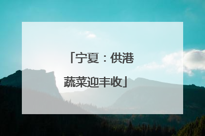 宁夏：供港蔬菜迎丰收
