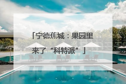 宁德蕉城：果园里来了“科特派”