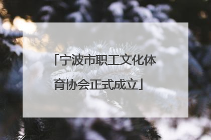 宁波市职工文化体育协会正式成立