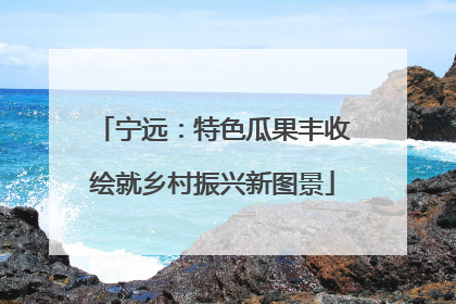 宁远：特色瓜果丰收绘就乡村振兴新图景
