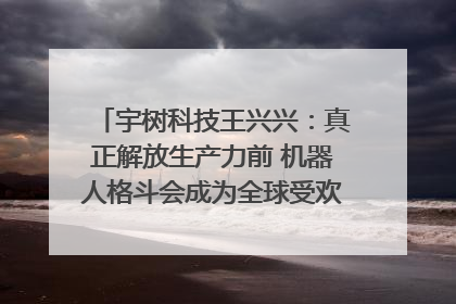宇树科技王兴兴：真正解放生产力前 机器人格斗会成为全球受欢迎的赛事｜科技观察
