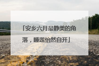安乡六月最静美的角落，睡莲怡然自开