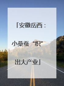 安徽岳西：小桑蚕“织”出大产业