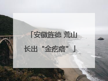 安徽旌德 荒山长出“金疙瘩”