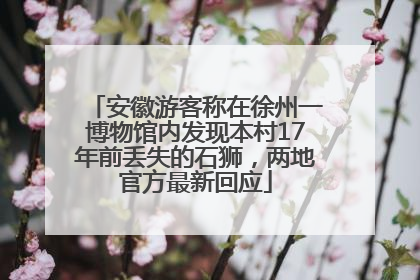 安徽游客称在徐州一博物馆内发现本村17年前丢失的石狮，两地官方最新回应