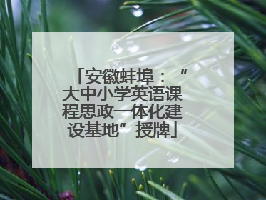 安徽蚌埠：“大中小学英语课程思政一体化建设基地”授牌
