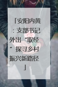 安阳内黄：支部书记外出“取经”探寻乡村振兴新路径