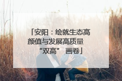 安阳：绘就生态高颜值与发展高质量 “双高” 画卷