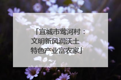 宜城市莺河村：文明新风润沃土 特色产业富农家