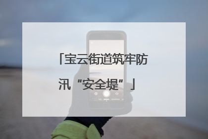 宝云街道筑牢防汛“安全堤”
