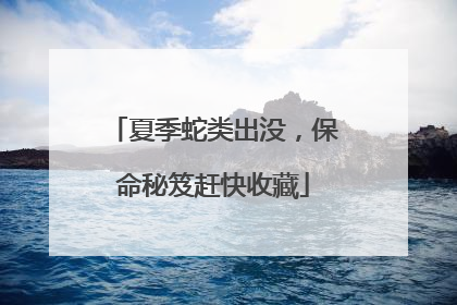 夏季蛇类出没，保命秘笈赶快收藏