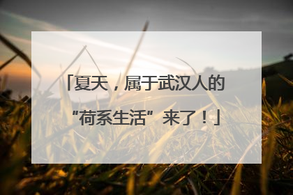 夏天，属于武汉人的“荷系生活”来了！