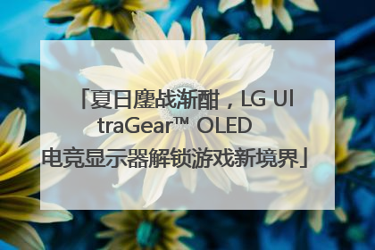 夏日鏖战渐酣，LG UltraGear™ OLED电竞显示器解锁游戏新境界