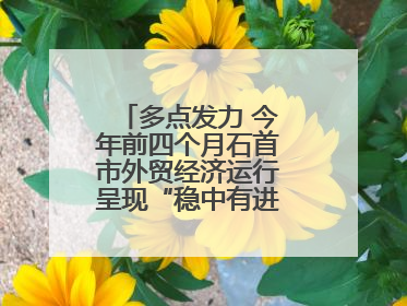 多点发力 今年前四个月石首市外贸经济运行呈现“稳中有进”的良好态势