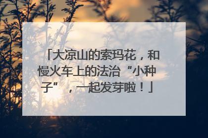 大凉山的索玛花，和慢火车上的法治“小种子”，一起发芽啦！