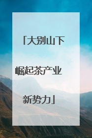 大别山下崛起茶产业新势力