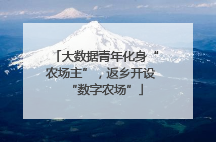 大数据青年化身“农场主”，返乡开设“数字农场”