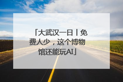 大武汉一日丨免费人少，这个博物馆还能玩AI