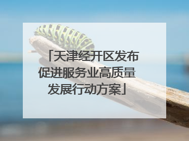 天津经开区发布促进服务业高质量发展行动方案
