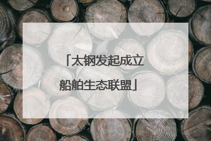太钢发起成立船舶生态联盟