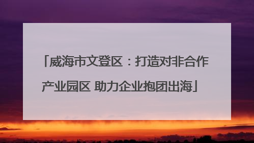威海市文登区：打造对非合作产业园区 助力企业抱团出海