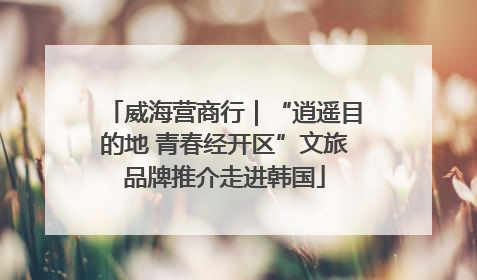 威海营商行｜“逍遥目的地 青春经开区”文旅品牌推介走进韩国