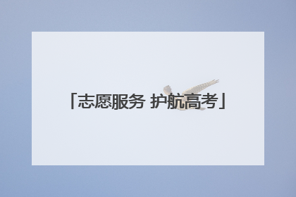 志愿服务 护航高考