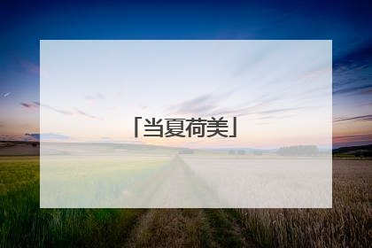 当夏荷美