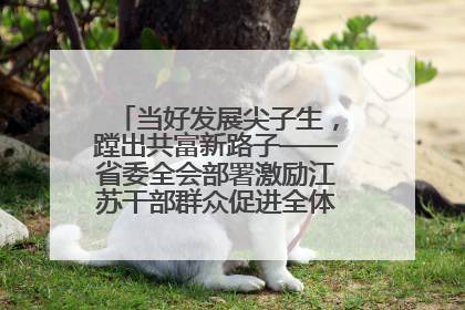 当好发展尖子生，蹚出共富新路子——省委全会部署激励江苏干部群众促进全体人民共同富裕
