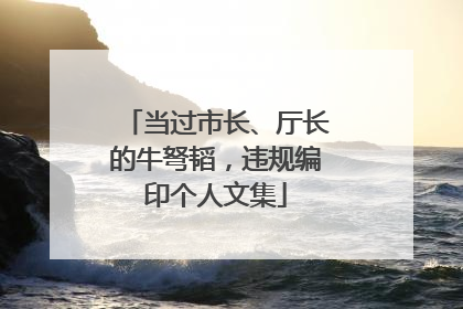 当过市长、厅长的牛弩韬，违规编印个人文集