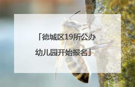 德城区19所公办幼儿园开始报名