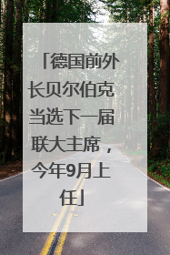德国前外长贝尔伯克当选下一届联大主席，今年9月上任