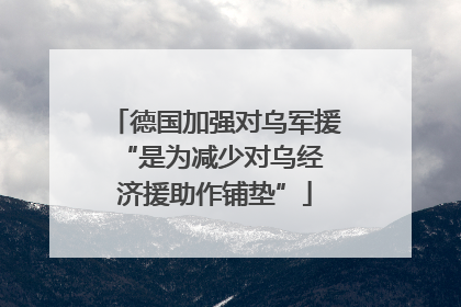 德国加强对乌军援 “是为减少对乌经济援助作铺垫”