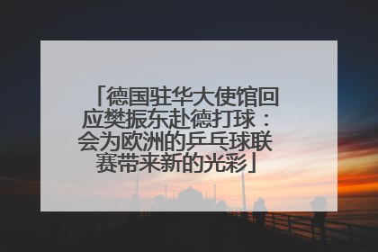 德国驻华大使馆回应樊振东赴德打球：会为欧洲的乒乓球联赛带来新的光彩